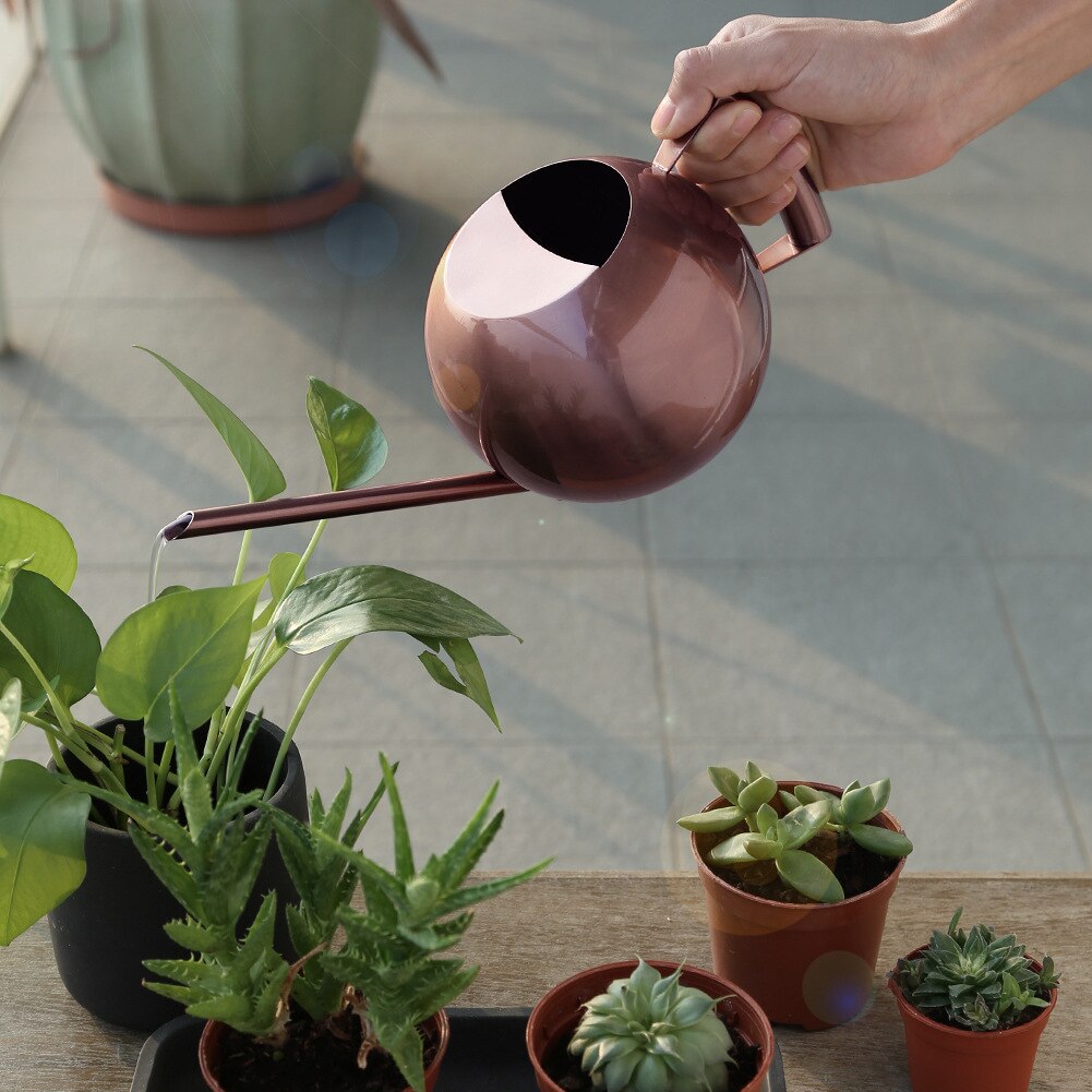 1L Rvs Gieter Tuinieren Ingemaakte Kleine Gieter Met Handvat Voor Watering Planten Bloem Tuin Gereedschap