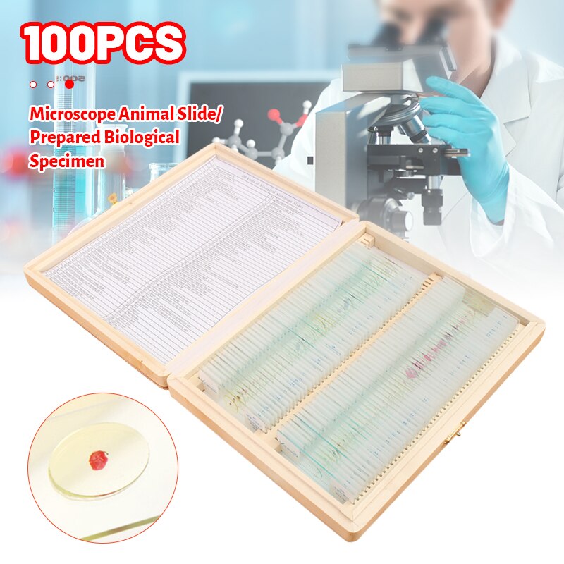 100Pcs/Set Prepared Microscope Glass Slides Sample Science Biological Specimen Education Cover Slips Portable Wood Storage Box