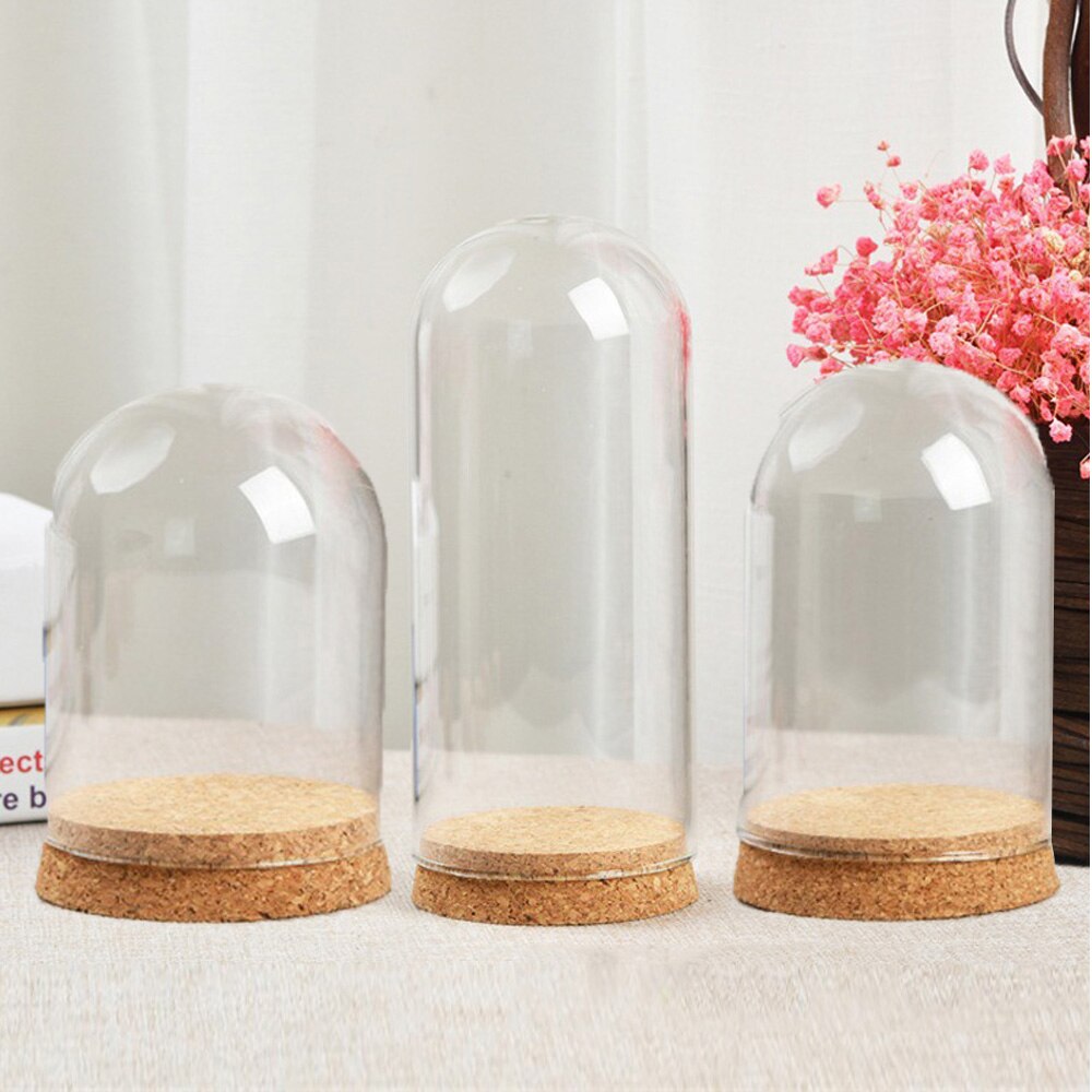 Glas Kuppel Cloche Abdeckung Holz Kork Basis Microlandscape Halfter Glocke Krug Für DIY Blume Pflanzen Vase Tisch Ornamente Hause Dekoration