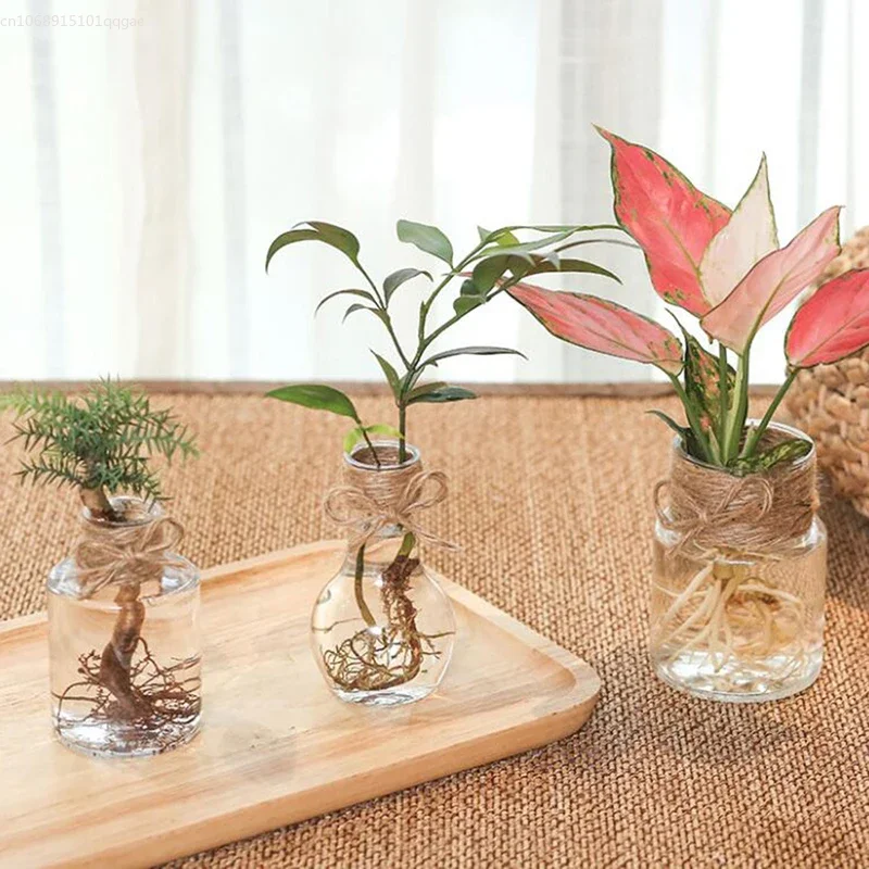 Piccolo vaso per centrotavola Vasi per fiori in plastica con boccioli Mini vaso trasparente rustico Forme uniche per cene di nozze Decorazioni per la casa Vasi