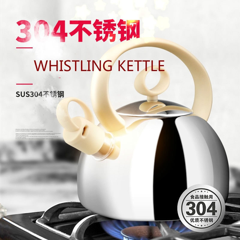 hgk Fluitketel MERCURY 2.0L gas inductie