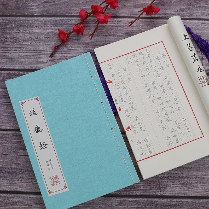 Chinese Calligraphy Reusable Hard Pen Practice Erasable Learn Hanzi Copybook Adults Art Writing Notebook