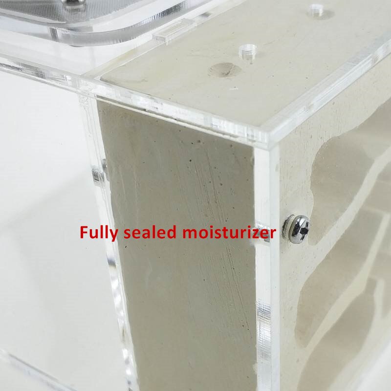 Small Ant Colony Acrylic Plaster Combo Hybrid Nest Ants Farm Ant Formicarium Box