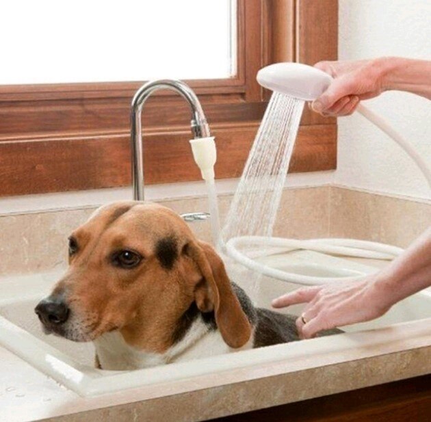 Kattehund bad brusebad kæledyr multifunktion hvidt tap sprøjtehoved kæledyr vask hårvask brusebad