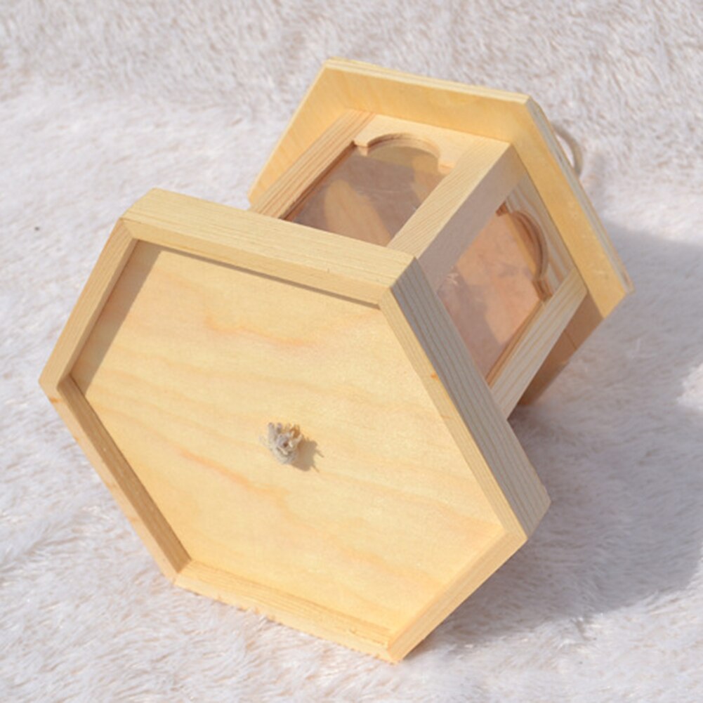 Conteneur distributeur de graines d'aliments, maison suspendue, mangeoire pour oiseaux, outil d'extérieur