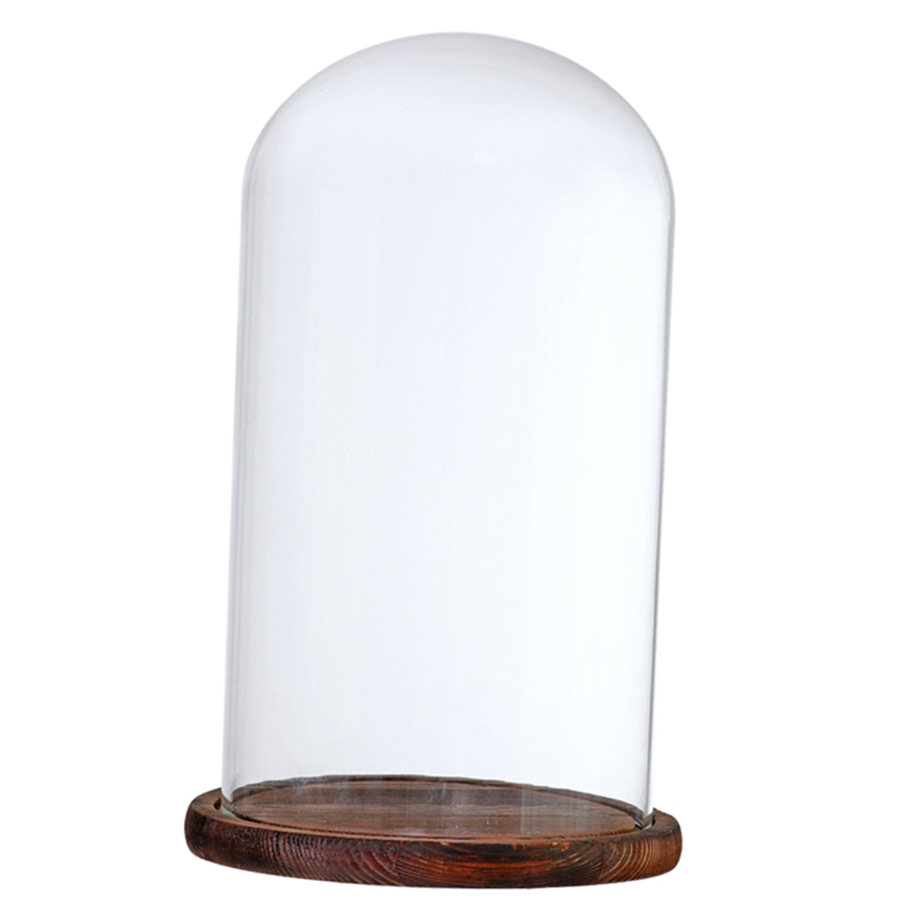 Træbund glas cloche kuppel dæksel display centerpiece bordplade dekoration glas kuppel med base: Brun f