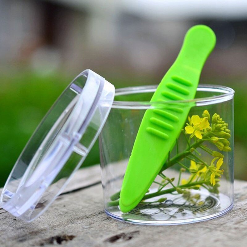 2pcs/set Insect Scissors Clip With Tweezers Outdoor Nature Exploration Kid Plant Insect Study Tools