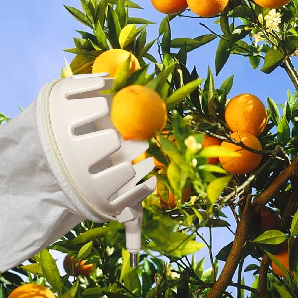 High-altitude Picker Fruit Picker Head Basket Bag Portable Fruits Catcher Harvester Convenient Fruit Picking Tool Without Pole