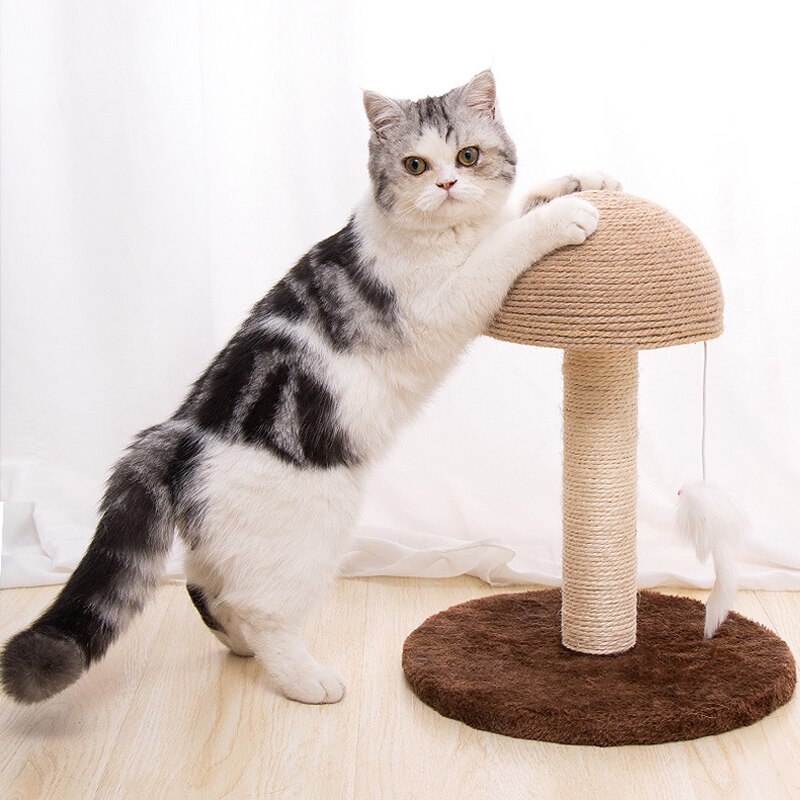 Pet Cat Climbing Tree Sisal Kitten Scraper Board Scratching Post For Cats SJumping Platform mascotas rascador gato D5004