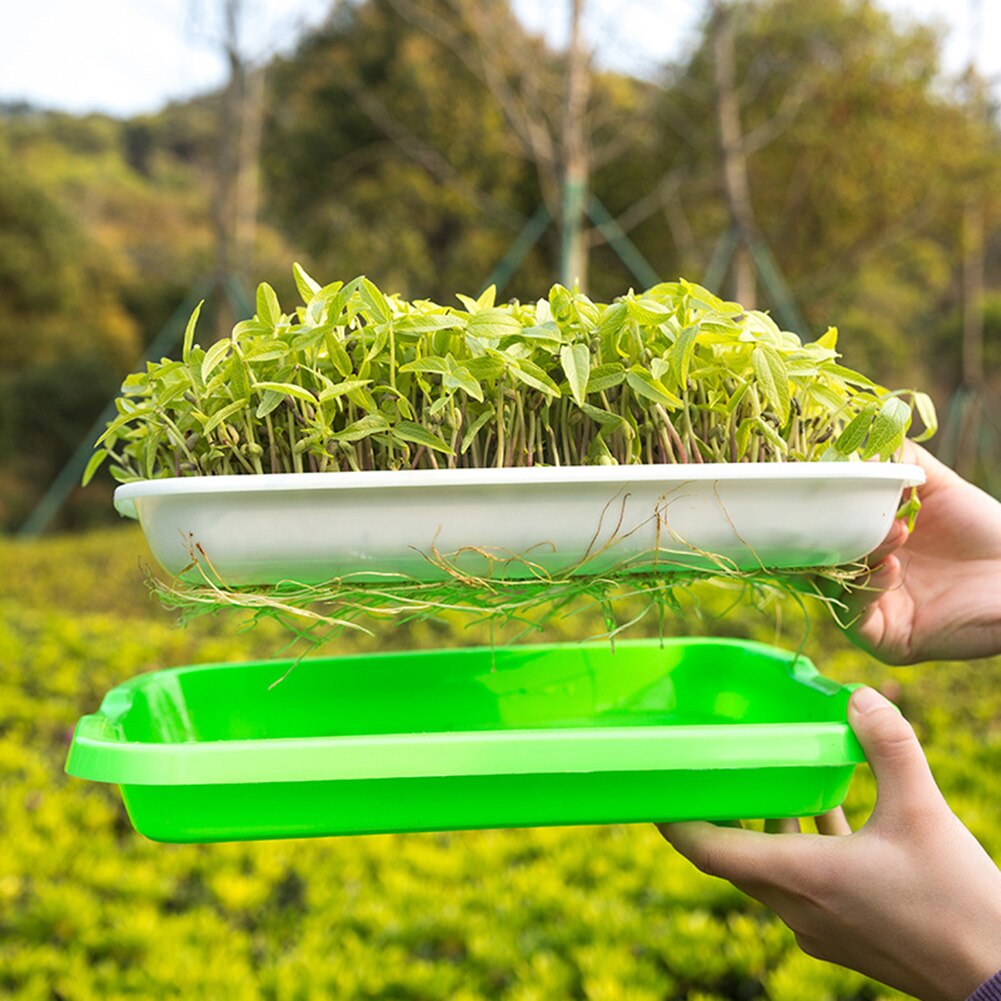 Zaad Kiemen Lade Houder Bodem-Gratis Planter Zaailing Pot Hydrocultuur Container