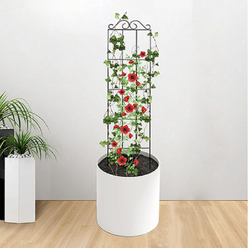 Metal Plant Climbing Frame Garden Indoor Trellis For Climbing Plants Iron Potted Plants Vine Growth Flower Rattan Climbing Rack