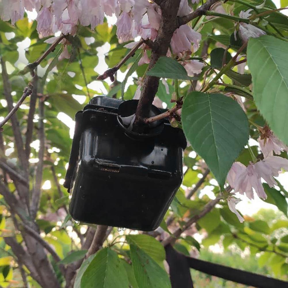 3/5/10pcs Square Reusable Plant Rooting Device Assist Rooting High Pressure Root Controller Grafting Rooting Box JS22