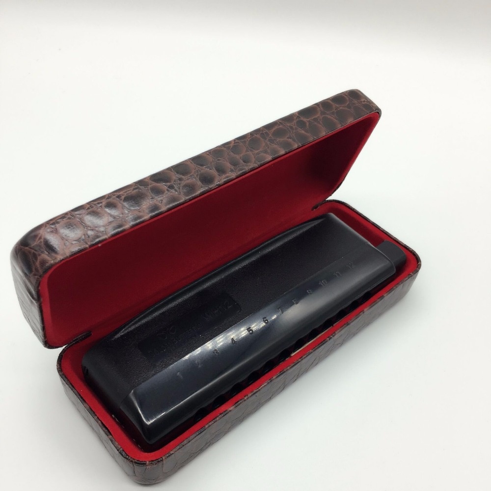 Golden Butterfly 12 Hole Chromatic Harmonica WH12 Harp musical instrument mouth organ semi-matte ABS cover