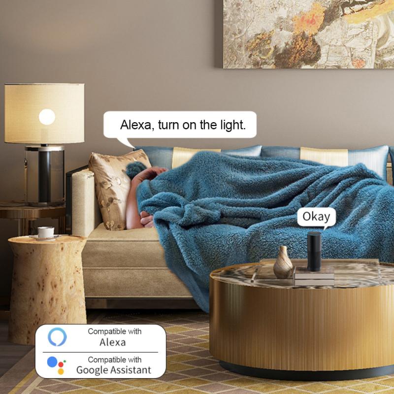 EU Smart Socket WIFI Mobile Phone APP Switch Timing Voice Control Socket Smart Plug Socket Alexa Google Home Electrical Socket