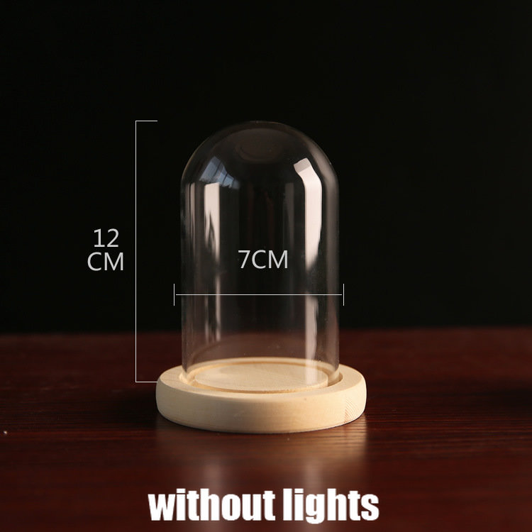 Tabletop Display Glass Cover Terrarium Container Decor Dry Flower Ornaments Craft Bell Jar Wood Base with Feet LED Light Holder: WHITE