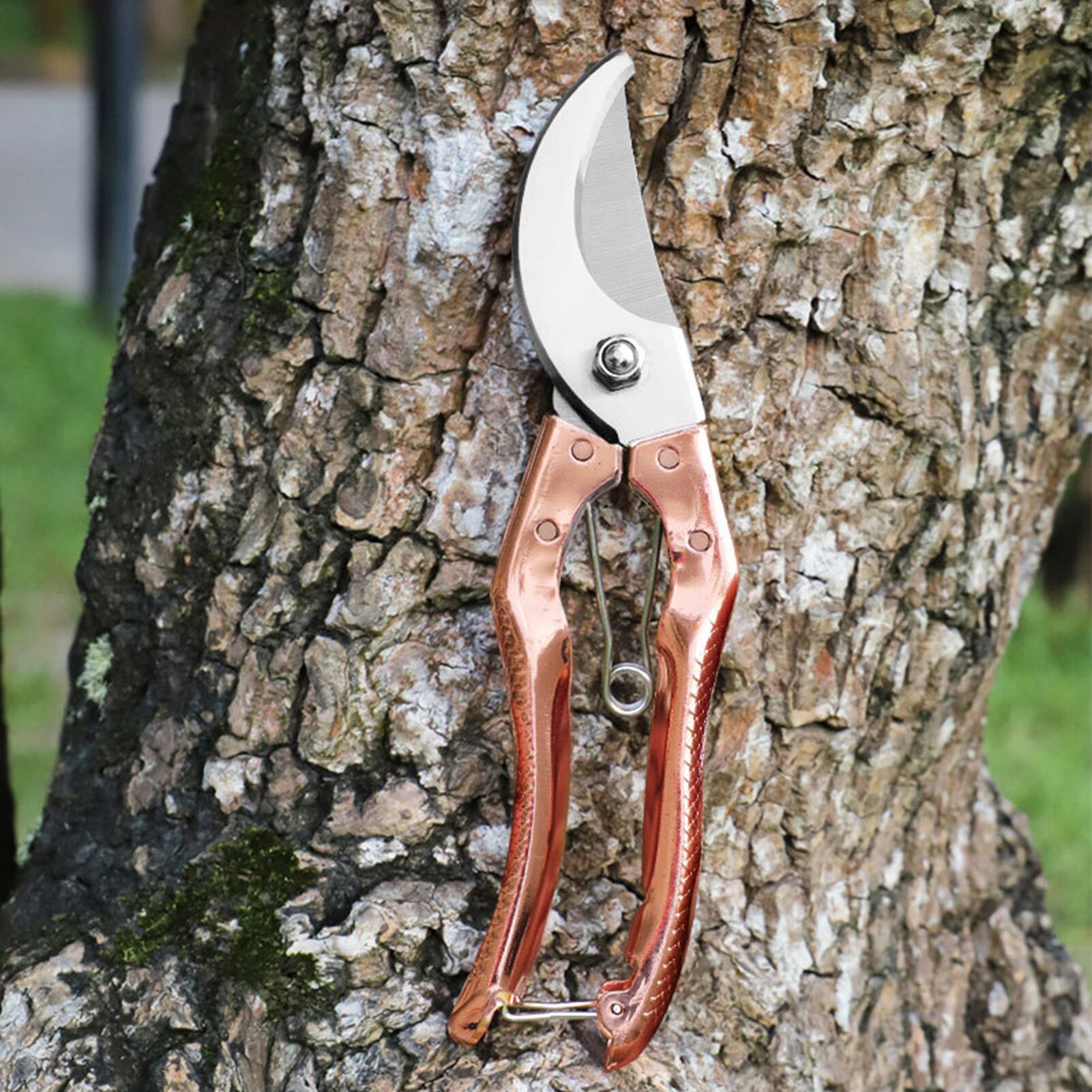 Plant Trim Horticulture Hand Pruner Cut Secateur Shrub Garden Scissor Garden Tools Anvil Branch Shear Orchard Pruning Shears