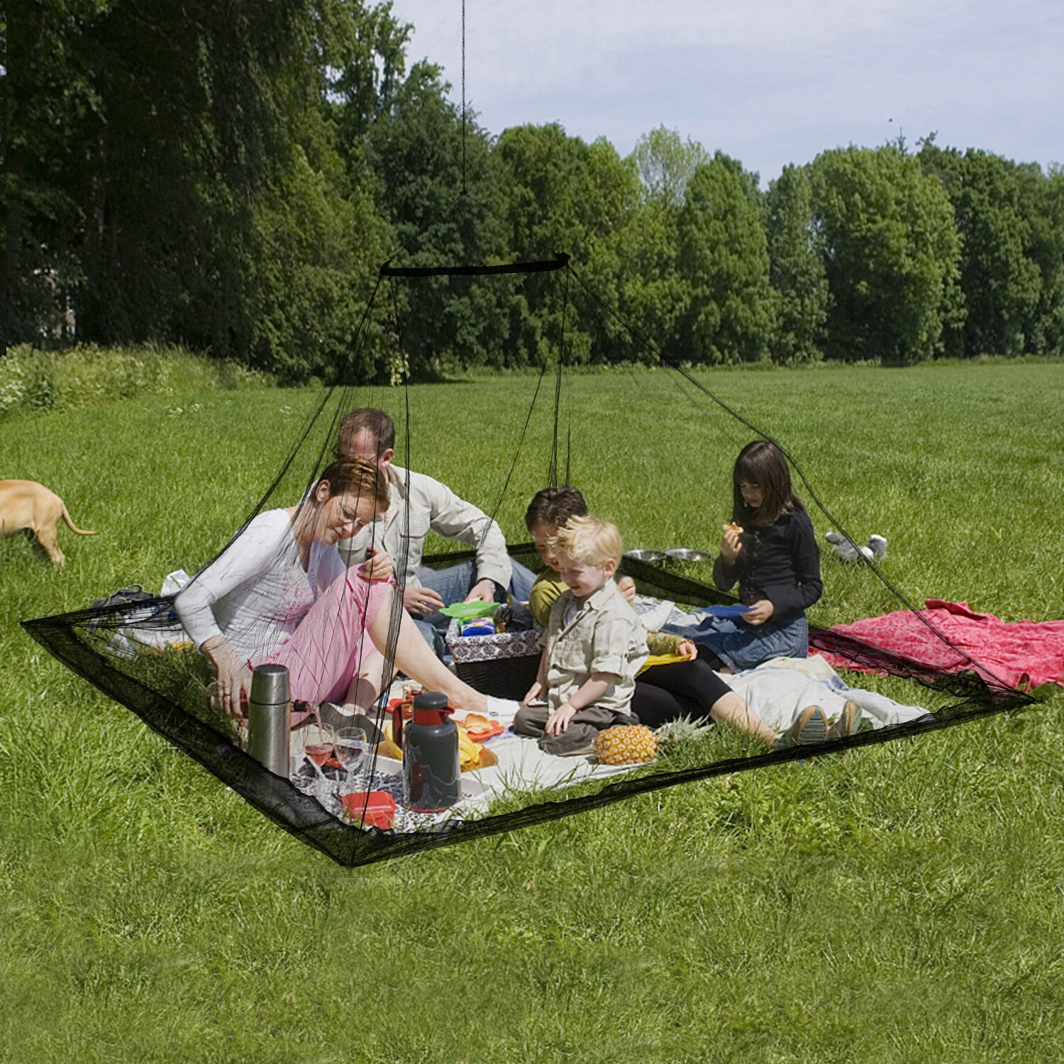 Red antimosquitos para acampar, red para exteriores para dos personas, carpa con bolsa de transporte para mochilero, senderismo y Camping