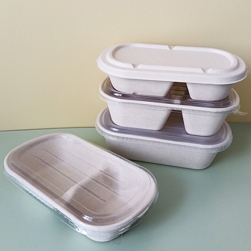 10pcs Disposable Lunch Box Eco-Friendly Lunch Box Food Container Vegetable Salad Takeaway Packing Box Microwave Lunch Boxes