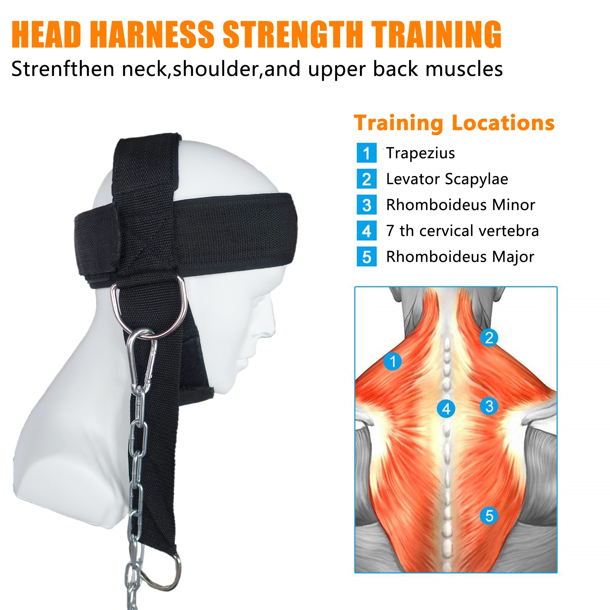 Hoved hals løfte rem med kæde justerbar hoved sele hals træner til hjemmet gym vægtløftning bodybuilding vægtstang træning