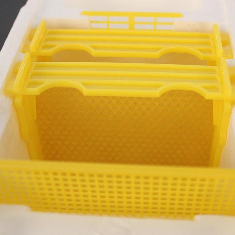 Home Hive Box Harvest Bee Hive Beekeeping King Box Pollination Box Beekeeping Tool Harvest Bee Hive Solid cedar EPS