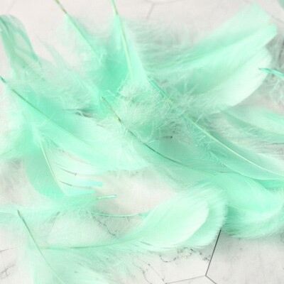 Refining Natural Feather Colourful Small Goose Feathers 3-8cm Photography props for Photo Background DIY Decoration: Light green