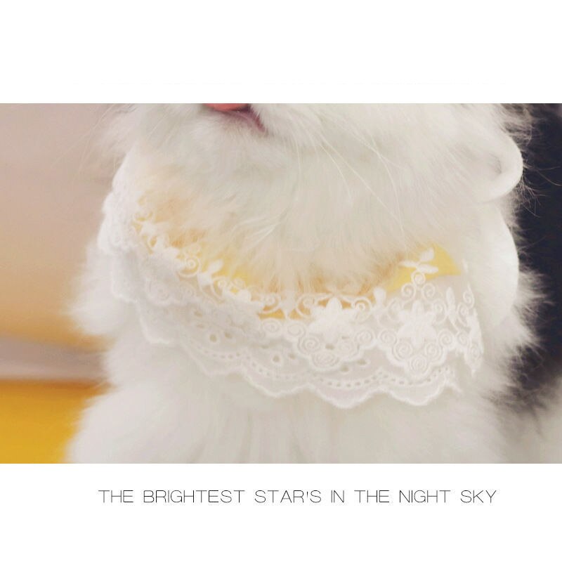 Sciarpa per animali domestici bavaglino in pizzo per gatti cucciolo sciarpa per collo di gatto turbante sciarpa per colletto grande sciarpa per turbante cappotto accessori per cani pettinare