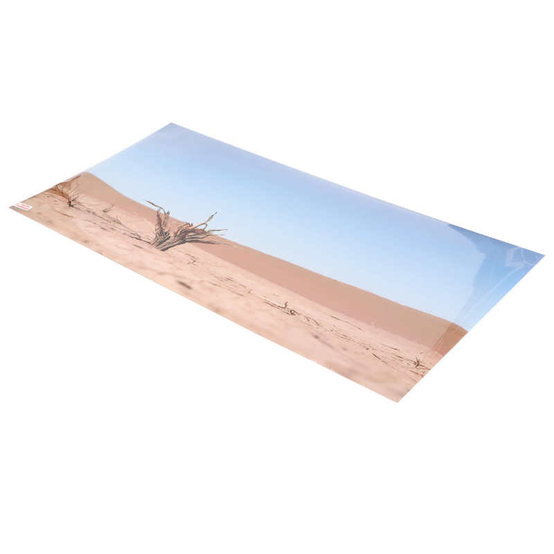 Fish Tank Background Decoration Aquarium Poster PVC for Terrarium