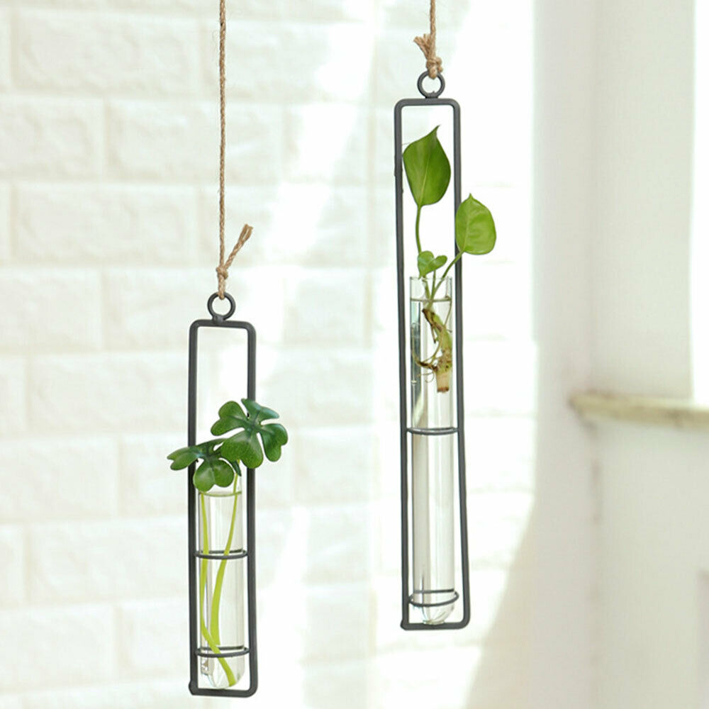 Wanddecoratie voor bloemenvaas van ijzer, transparant glas, voor hydrocultuur, diy plantenbak, hangende decoratie
