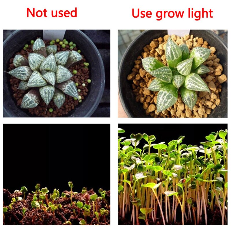 20W 30W 50W COB LED Grow Light Chip AC 220V Full Spectrum Phyto Lamp 280nm-840nm Plant Seedling Flowers Growth Lamp Beads