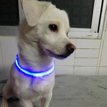 5 Kleur Led Huisdier Kraag Lichtgevende Verstelbare Pet Veiligheid Halsbanden Waterbestendig Knipperlicht