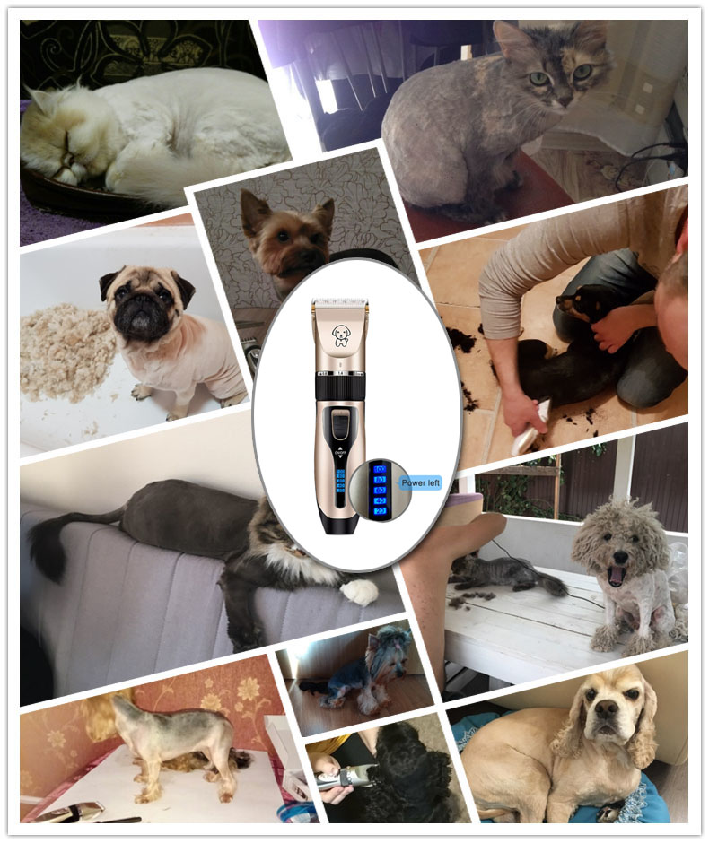 Hondentondeuse, geluidsarme hondentondeuse, hondentrimmer, kattentondeuse, trimmer voor huisdieren, usb-oplaadbaar