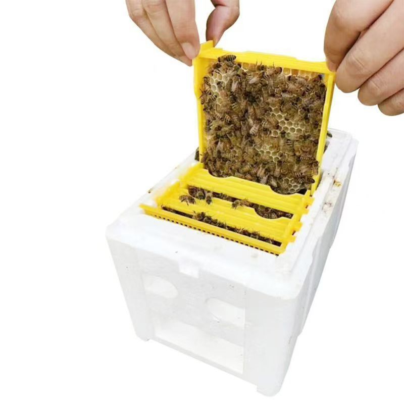 1 Set Bienenkönigin Aufzucht Paarung Bienenstock Bienenzucht Werkzeuge Schaum Bienenstöcke Nuc Ernte Bestäuber Bienenstock Box Imker Lieferanten