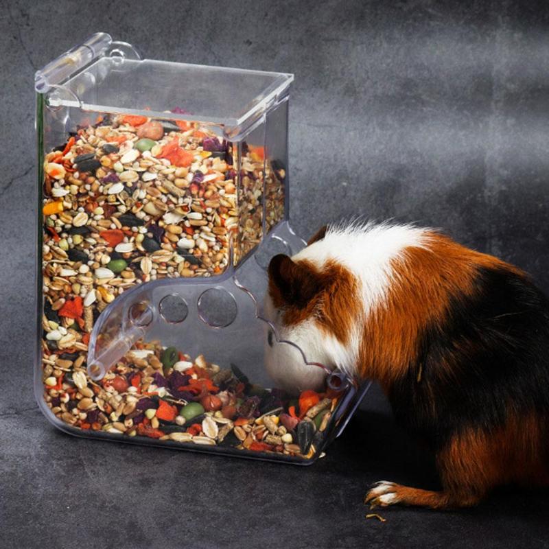 Dispensador de alimentos transparente para hámster, recipiente de alimentos para animales pequeños, seguro y de mal gusto, suministros para mascotas, alimentación automática para animales pequeños