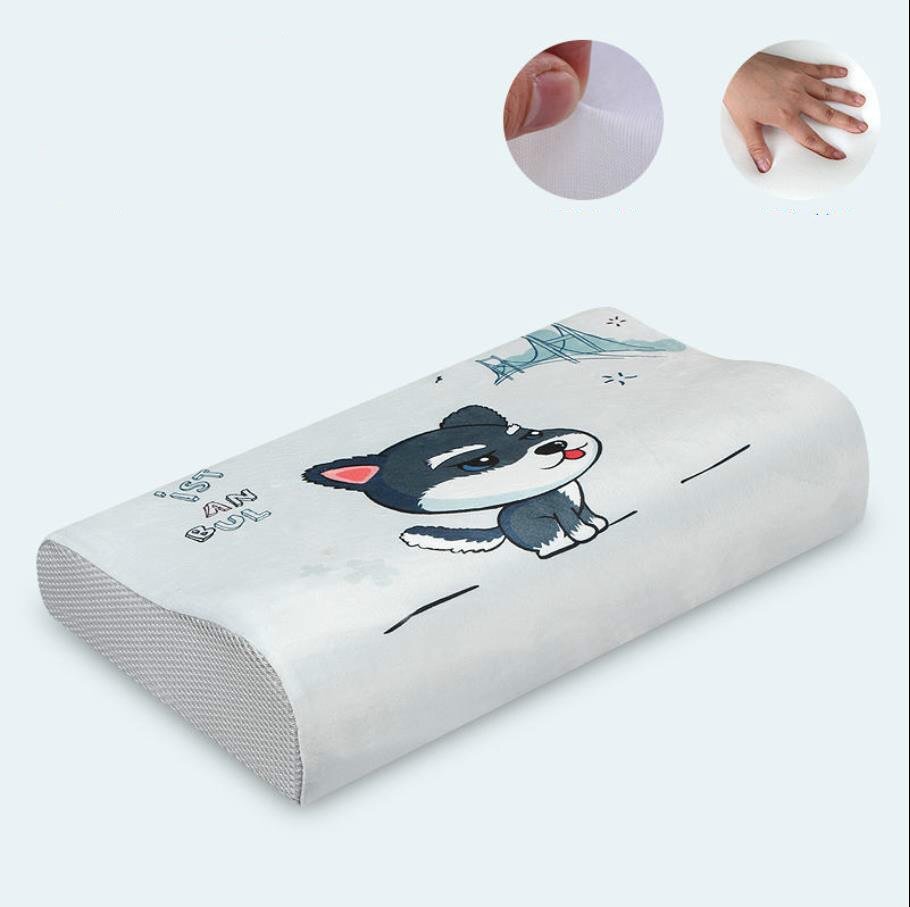 Memory Foam Bed Orthopedisch Kussen Voor Nekpijn Slapen Gezondheid Met Geborduurde Fijne Fluwelen Kussensloop Thuis 60*30Cm top F0436