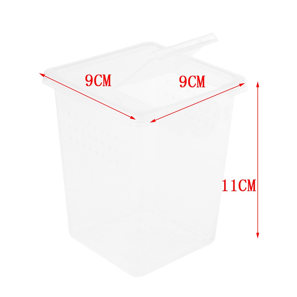 Plastik insekt frø edderkop levested foderkasse beholder genanvendelig 8 x 8 x 11cm