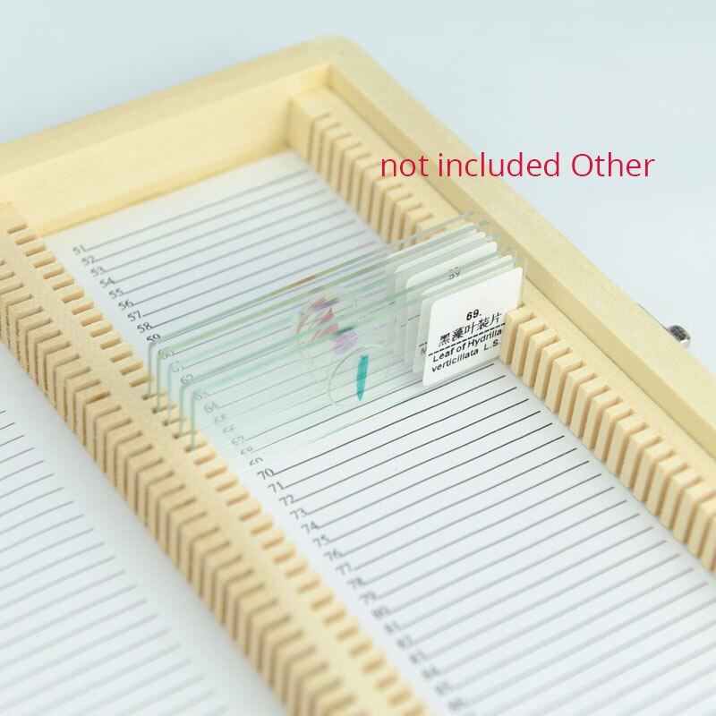 100pcs Wooden Microscope Slides Box Pathological Slides Storage Box Holder Case