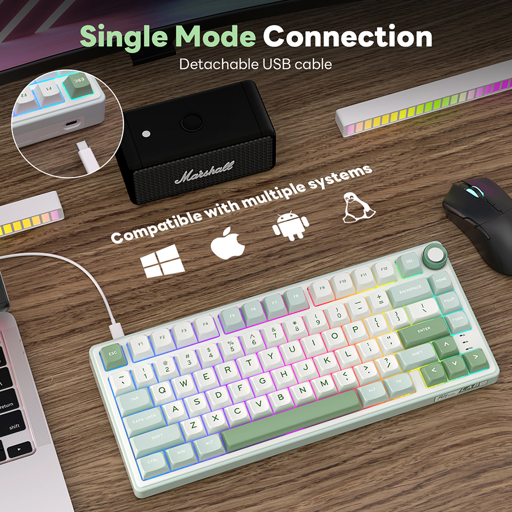 Royal Kludge RK R75 brazylijska mechaniczna uszczelka klawiatury przewodowa klawiatura dla graczy z możliwością wymiany podczas pracy 80 klawiszy podświetlane RGB MDA nasadki na klawisze PBT