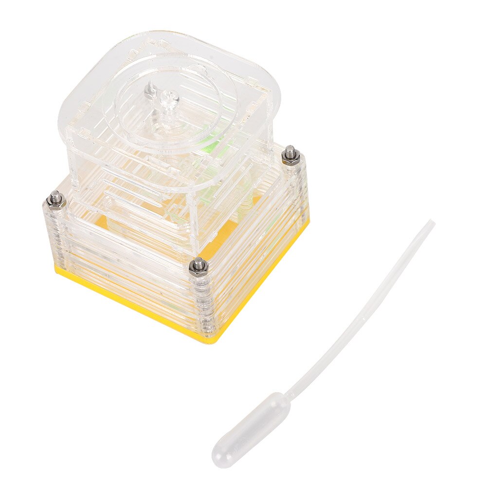 Insects Box Reptiles Living Box Acrylic Ant Feeding Nest Transparent Insect House Case Ant Farm Ant Formicarium ant