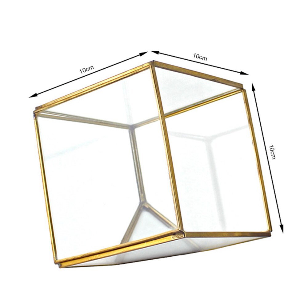 Cubos geométricos Terrario de vidrio decoración del hogar planta flor carnosa soporte maceta