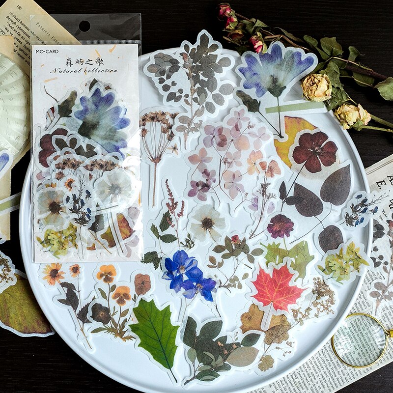 12 set/1 lot Stationery Stickers Paper Natural leaves Diary Planner Decorative Mobile Stickers Scrapbooking DIY Craft Stickers: SenYuZhiGe
