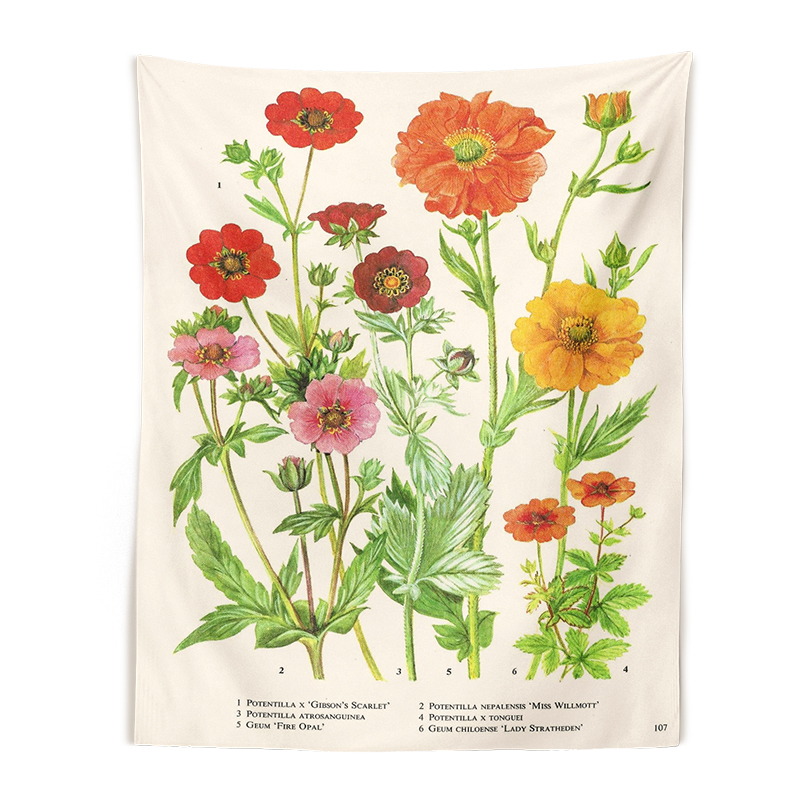Calefee Extra groot wandtapijt muur opknoping 350,5 x 256 cm, polyester