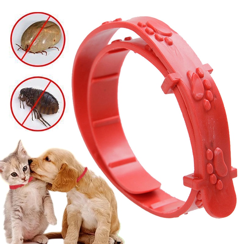 Collare regolabile per pulci da gatto per animali domestici contro le zanzare delle pulci Anti zecche rimuovi il cane da compagnia proteggi la collana in gomma