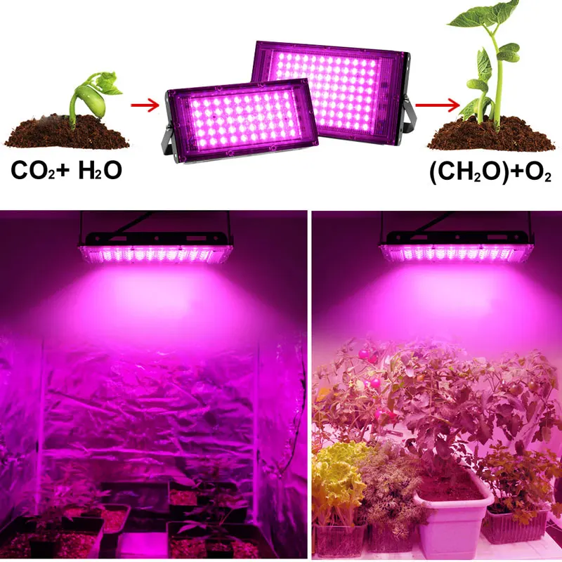 Phyto lampe 50W 100W 300W Phytolamp pour plantes spectre complet Led culture des plantes cultivateur Culture intérieure Led lampe de culture lampe Uv