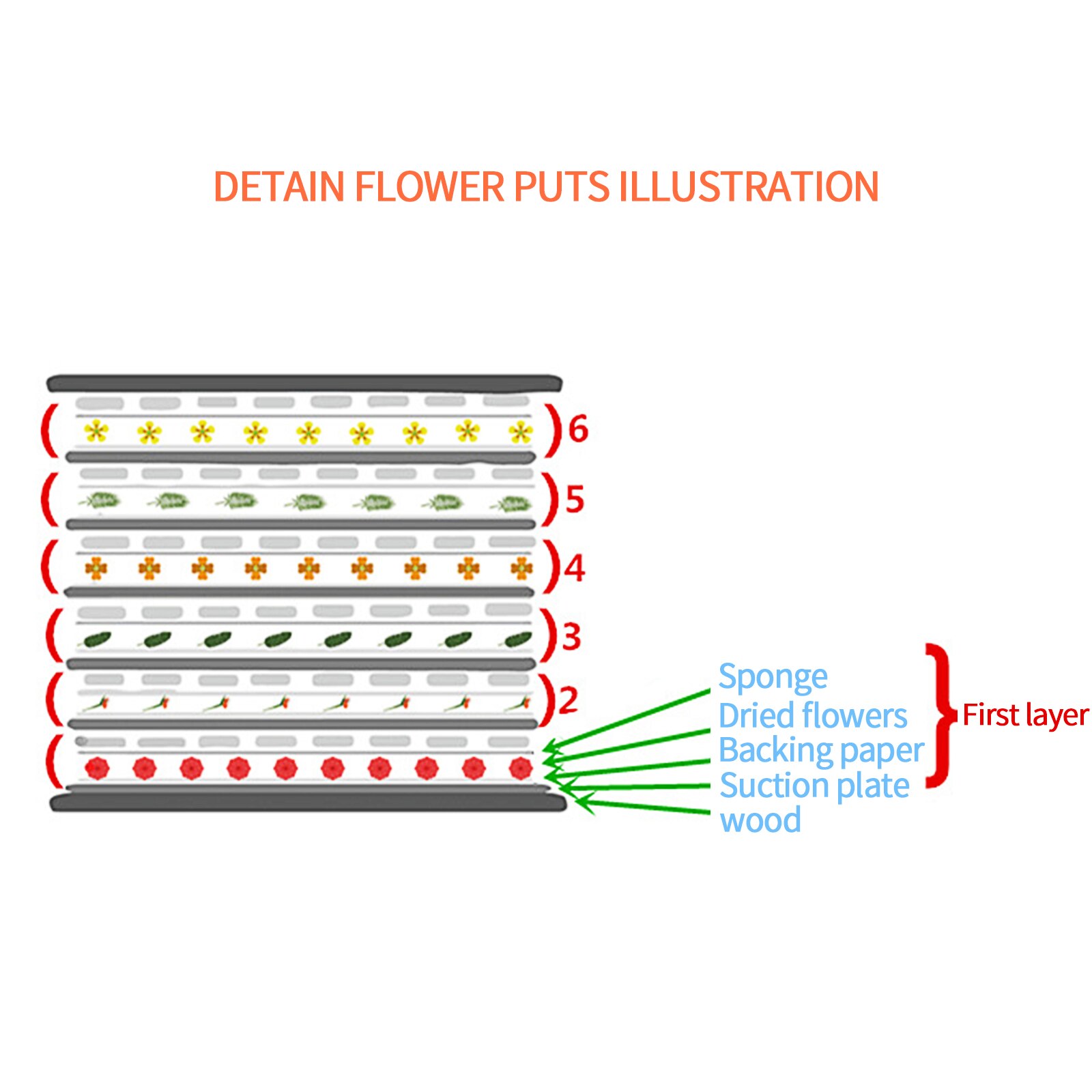 Flower Press Kit DIY Flower Press Supply Flower Press Board Wooden Plant Press Tool Flower Drying Set Specimen Making Tool