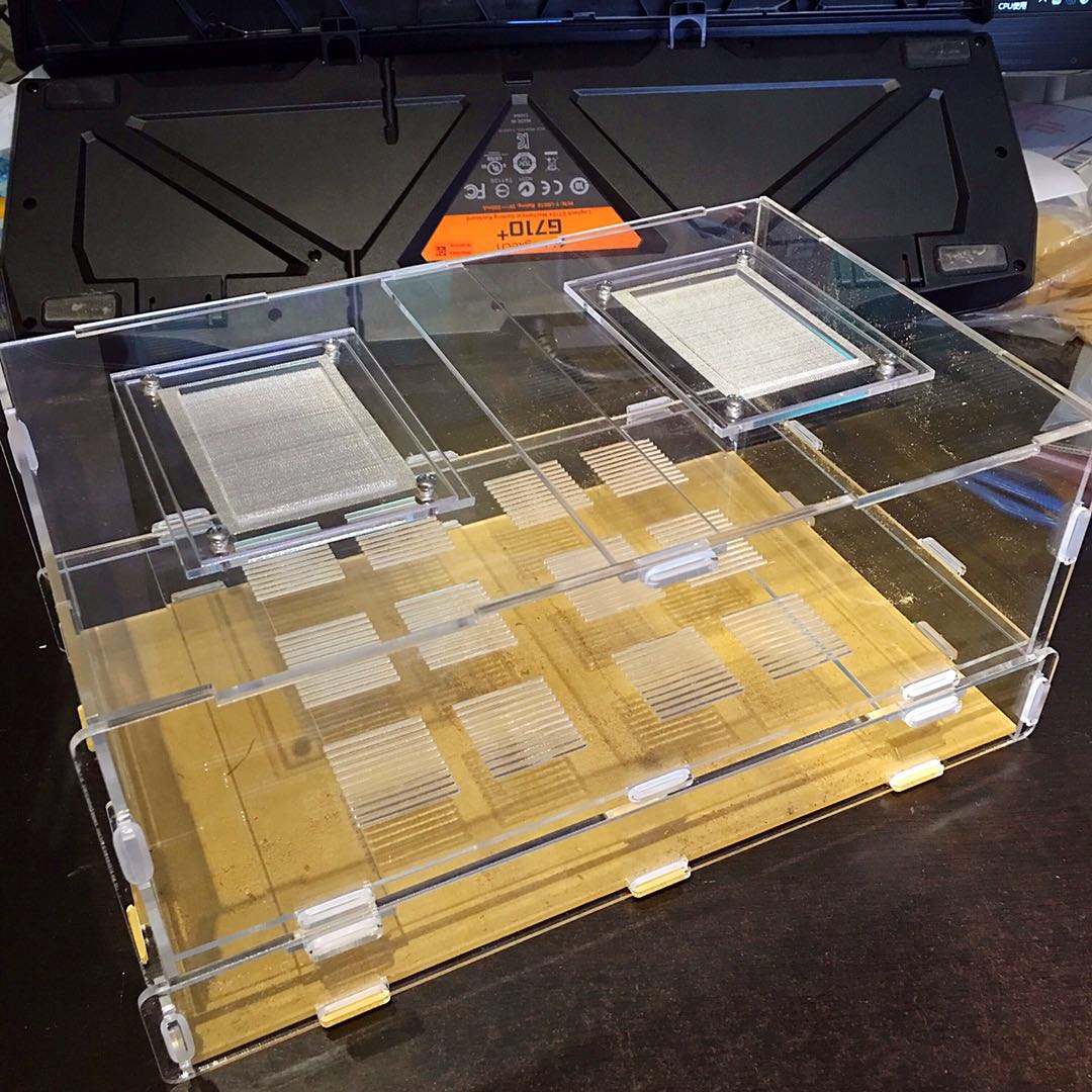 Breadworm, Wormwood, Feeding Box, Anthouse: Default Title