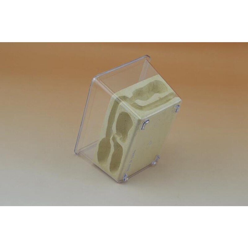 Ecological Pet Ant Nest Three-dimensional Ant Villa Small Four-sided Ant Farm Breeding Nest