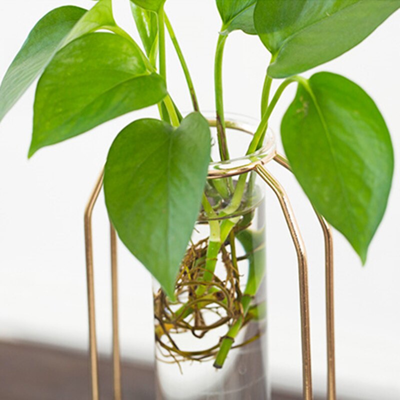 Nordic Glass Cuvette Vase Modern Gold Plated Iron Flower Vase Plant Vase Terrarium Room Home Wedding