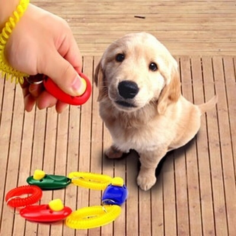 1 stuk Kat Training Clicker Plastic Honden Trainer Hulp Te Verstelbare Polsband Geluid Sleutelhanger