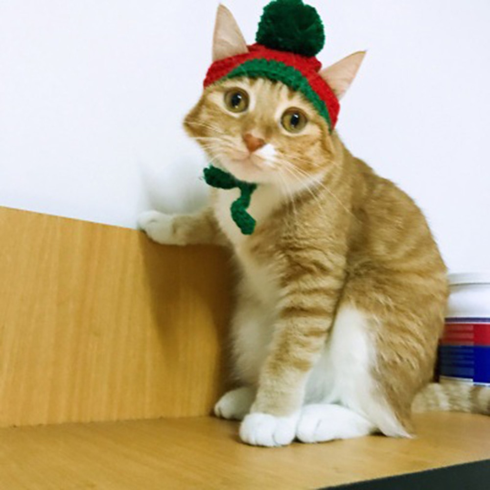 Cat Dog cappello lavorato a maglia cucciolo animale cappello di natale cappello lavorato a maglia di natale con palline cappello da cucciolo Halloween Cosplay cane gatto Supplie Cap fascia