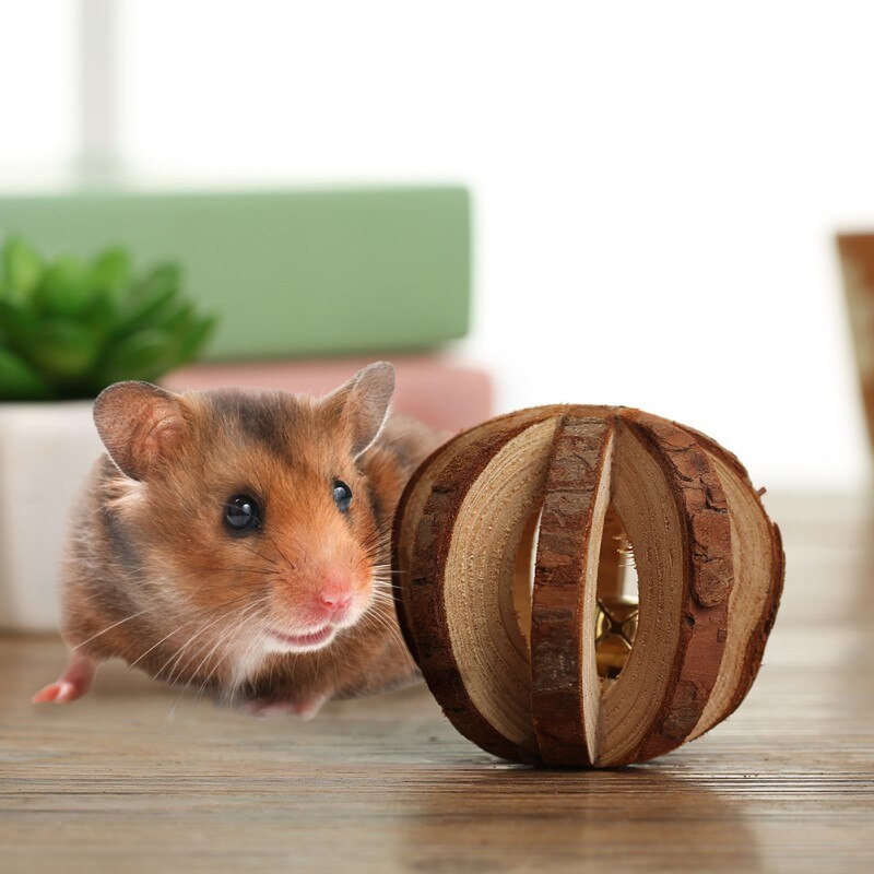 Kæledyr molar legetøj natur træ motion tygge tænder pleje molar legetøj til kæledyr kanin hamster små dyr forsyninger kæledyr tilbehør